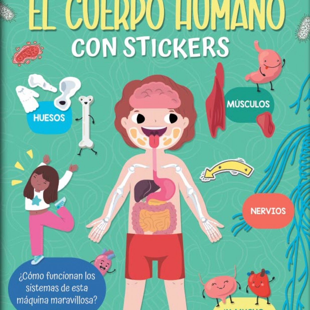 libro-rozini-descubro-el-cuerpo-humano-con-stickers-1123