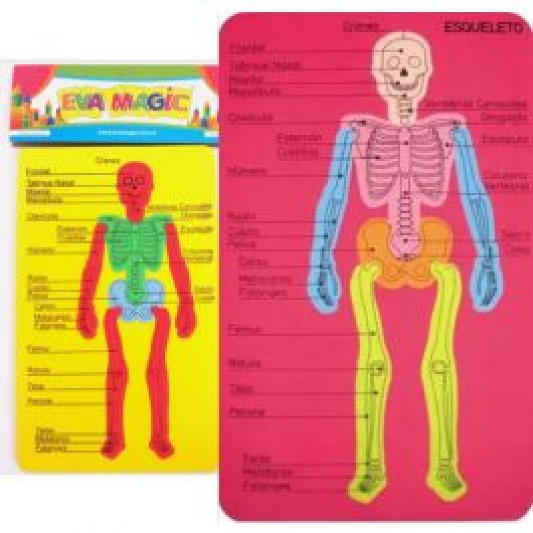 goma-eva-cuerpo-humano-esqueleto-28x44-635