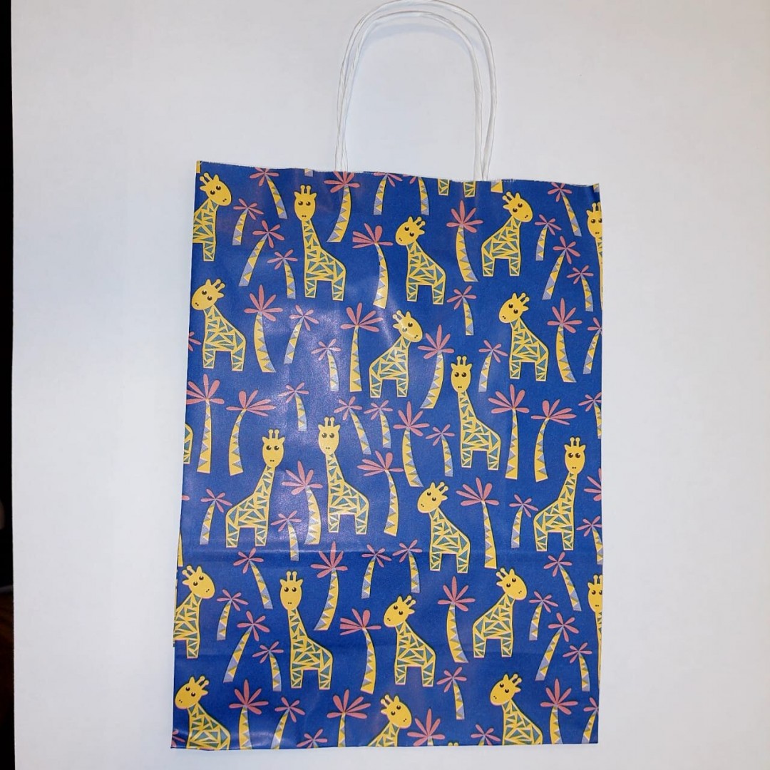 bolsa-papel-22x30-fantasia-57294