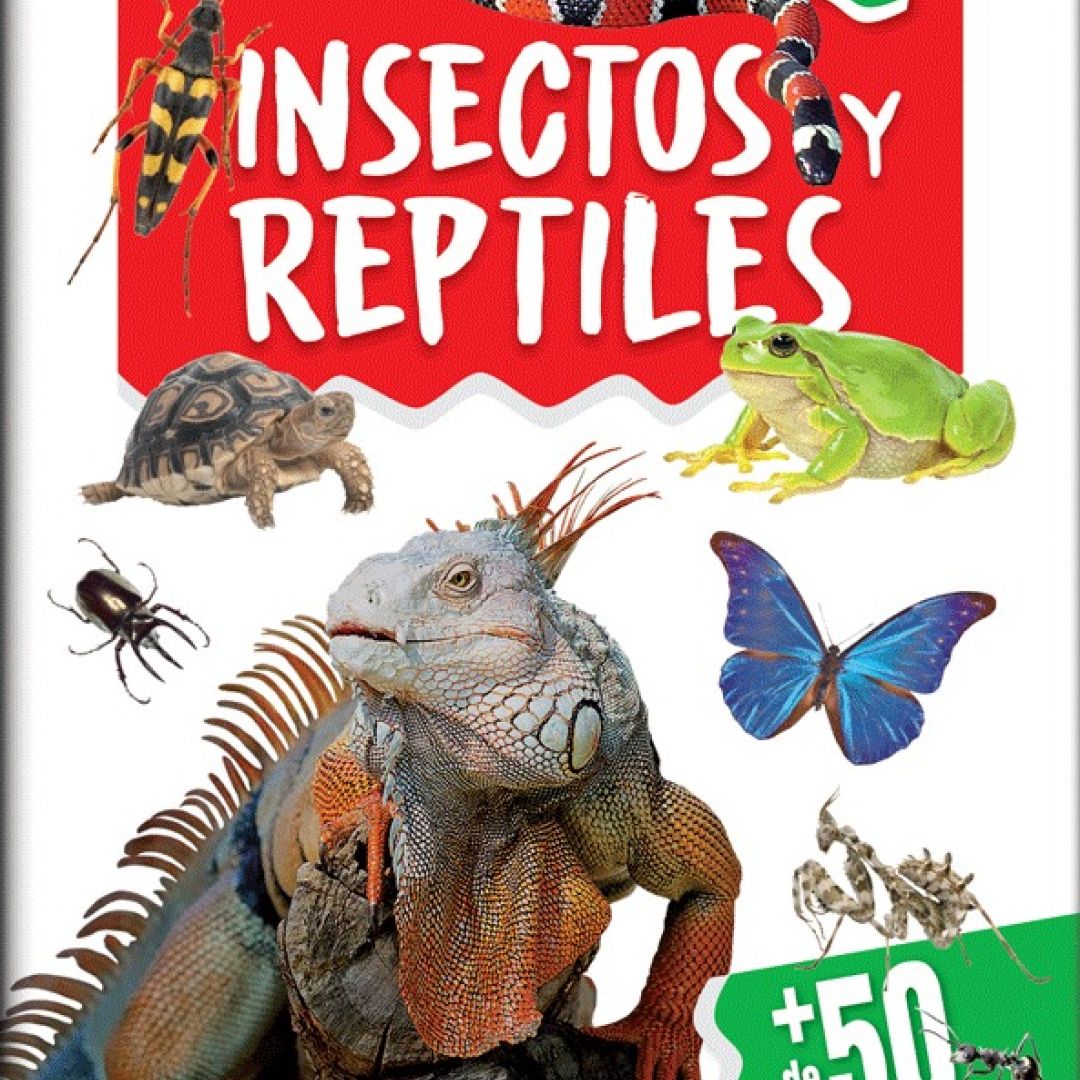 libro-artemisa-coleccion-libros-para-armar--de-50-stickers-29312