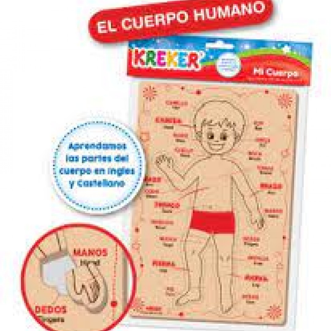 cuerpo-humano-goma-eva-kreker-22x33-54632